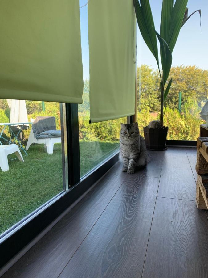 Tu&Ya Cabins Agigea Kültér fotó